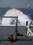 IMGP8912.JPG