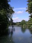 Small pond