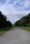 Road through park