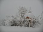 Bird feeding house