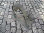 Famine dog