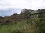 Along the cliffs