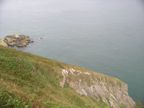 Along the cliffs