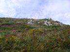 Along the cliffs