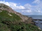 Along the cliffs