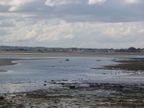 Sandbank
