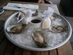 Oysters