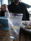 a Gin and Tonic