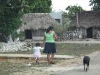 Local life