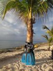 Snorkelling paradise