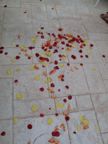 Rose petals