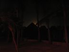 Back in Egypt...