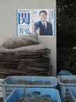 Politicians & fishing nets