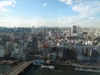 View from the 'sky room'