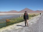 Laguna Colorada