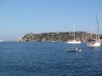 IMG_0089.JPG