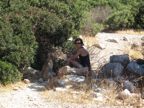 IMG_0343.JPG