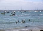 Isla negra on the water